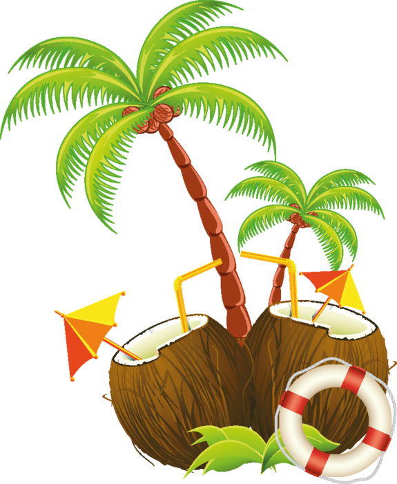 Coconut Tree Logo Png (575x700)