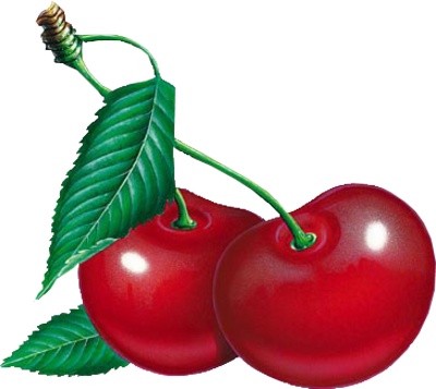 Cherry Clipart Five - Вишня Картинка (400x357)