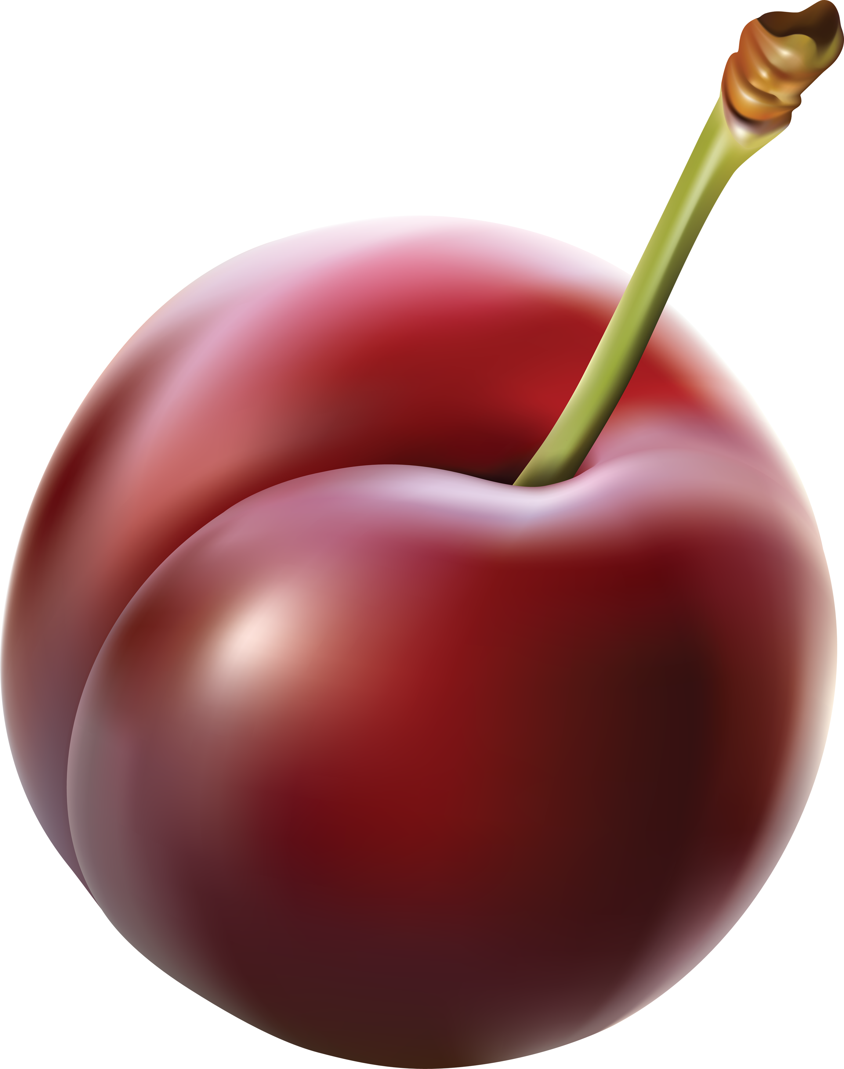 Cherry Clipart Plums - Plum Png (2765x3504)
