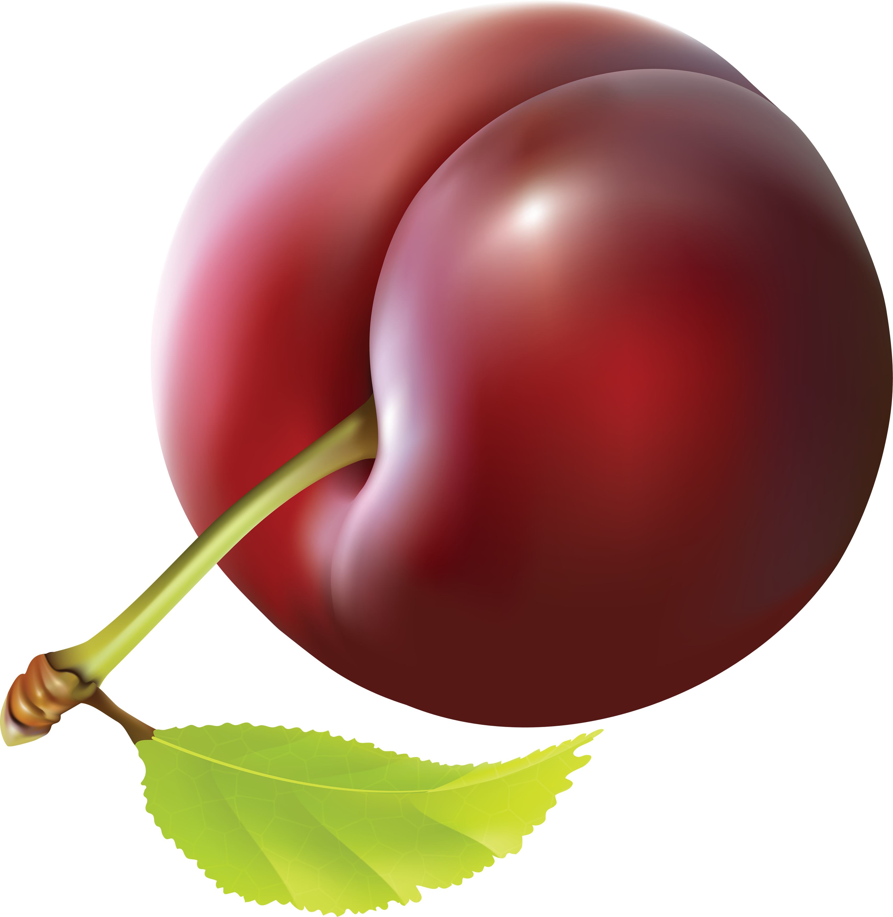 Cherry Clipart Plums - Clipart Images Of Plum (3413x3504)