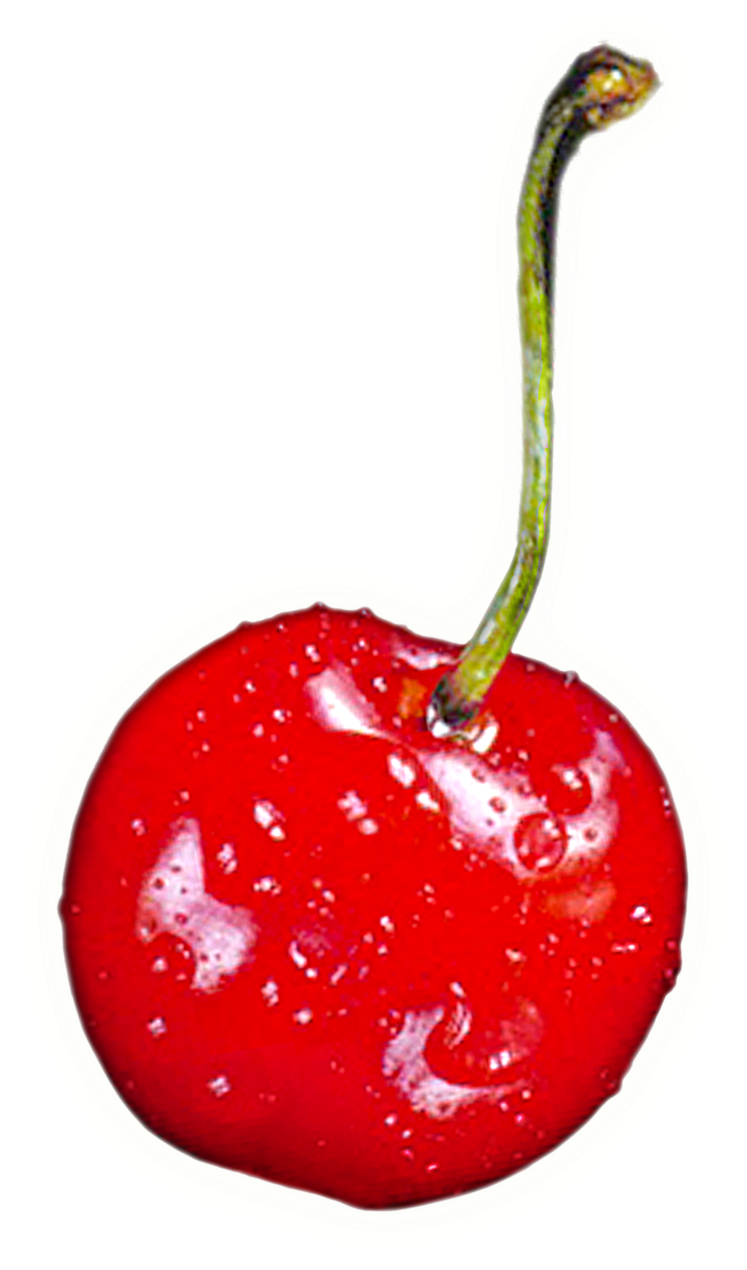 Cherry Clipart Single Cherry - Red Cherries Fridge Magnet Stocking Filler, Ref:f-f3fm (2000x2000)