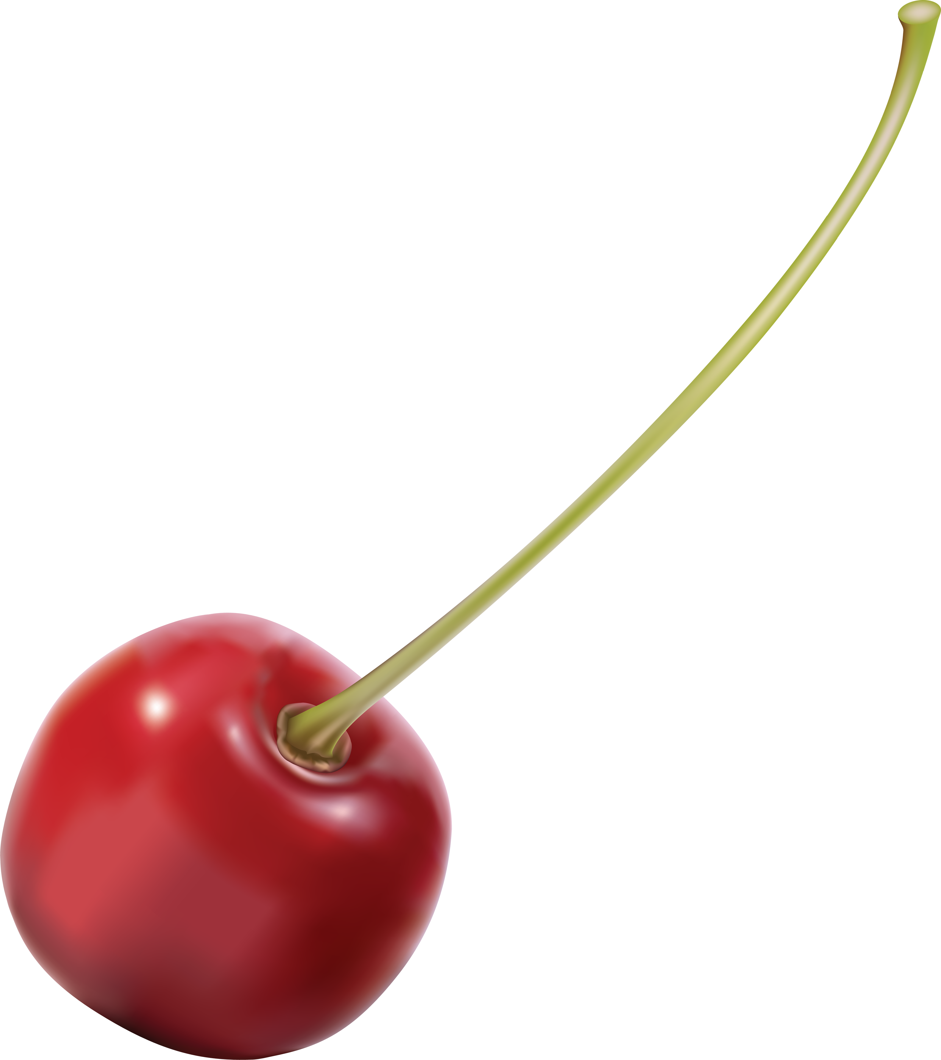 Cherry Png Transparent Images - Cherry Png (3160x3562)