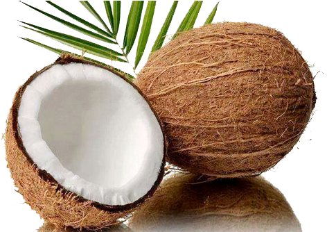 Husked Coconut - Coconut Cut In Half (500x333)