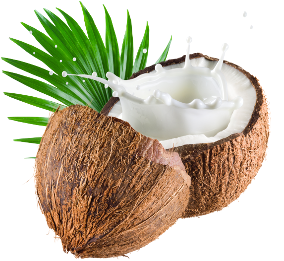 Орех, Кокос, Walnut, Coconut, Walnuss, Kokosnuss, Noix, - Z Natural Foods Coconut Milk Powder 5 Lbs (600x530)