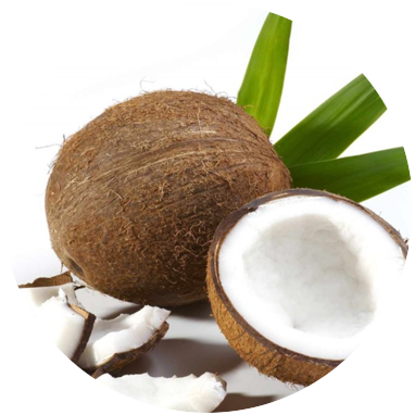 Coconut Fiber - Advanced Clinicals Coconut Oil Cream. Spa Size 16oz (382x382)