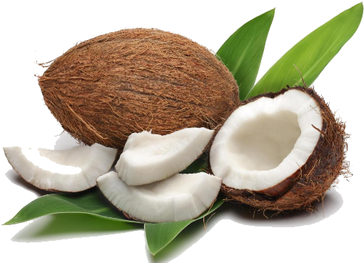 Heart Coconut - Coconut Fruit Or Nut (544x384)