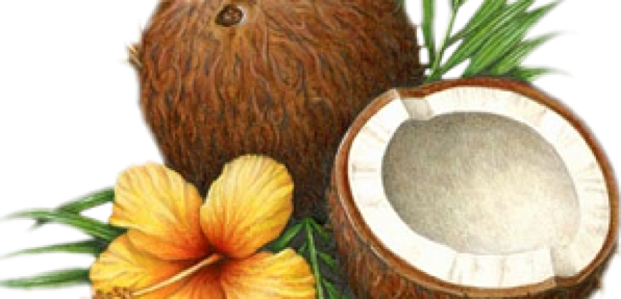 Surprising Beauty Benefits Of Coconut Oil - Coconut Oil (870x420)