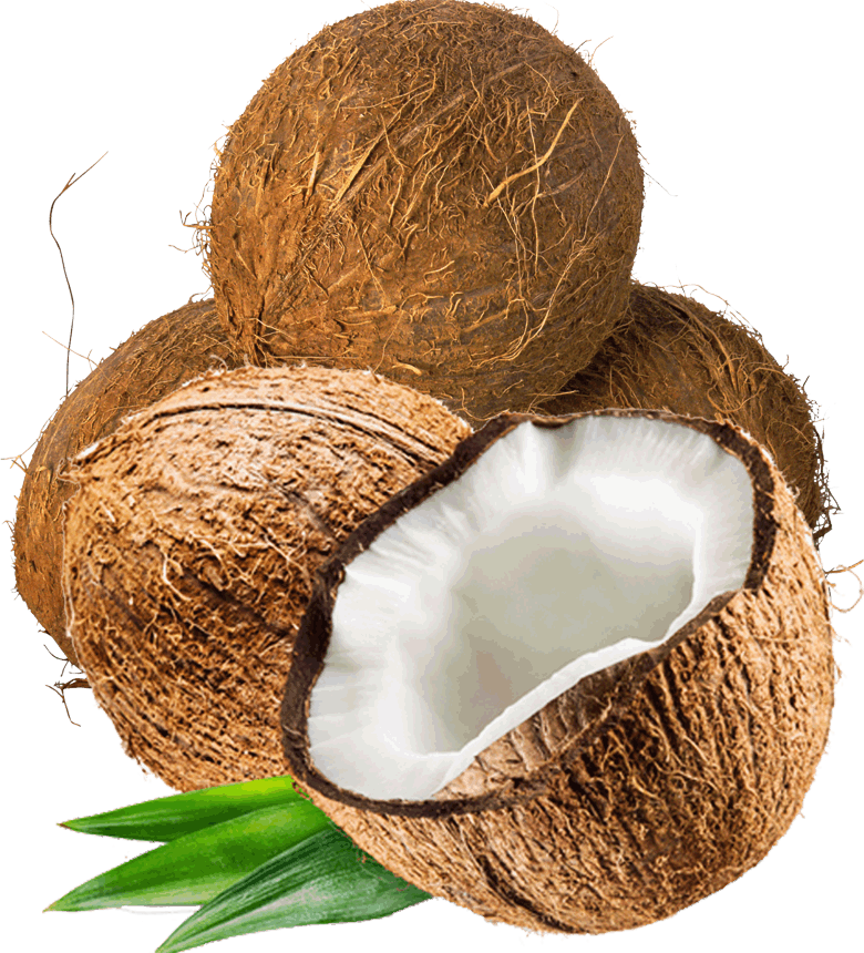 0 - Coconut With White Background (780x860)