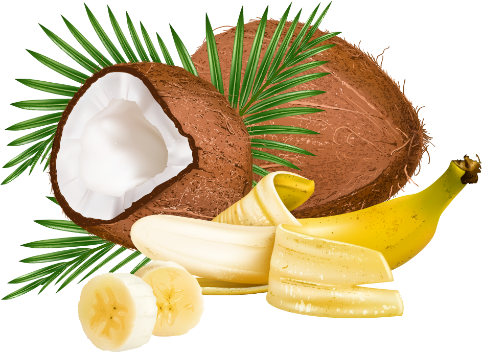Coconut Leaf Clip Art - Coconut Leaf Clip Art (1000x1000)