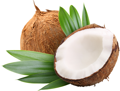 Properties And Benefits Of Coconut Oil - Anjou Coconut Oil 32 Oz, Organic Extra Virgin, Cold (500x500)