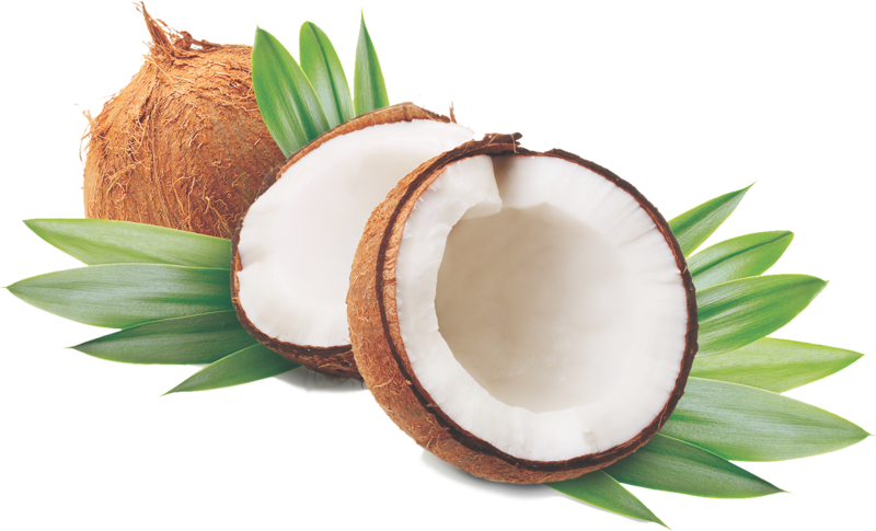 Coconut Oil Is Growing In Popularity As A Product That - Anjou Coconut Oil 32 Oz, Organic Extra Virgin, Cold (800x485)