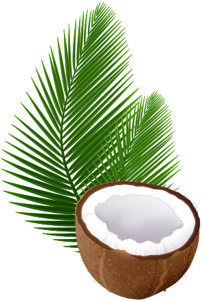 Coconut Oil - Snow (500x500)
