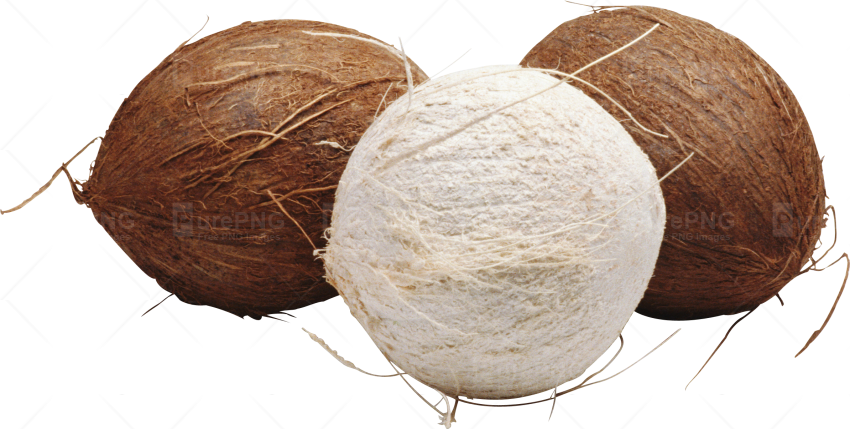 Coconut (850x429)