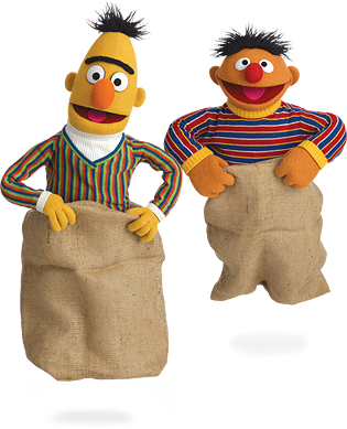 Bert Ernie Sacks - Play With Me Sesame:furry, Fun And He - (region 1 Import (315x389)