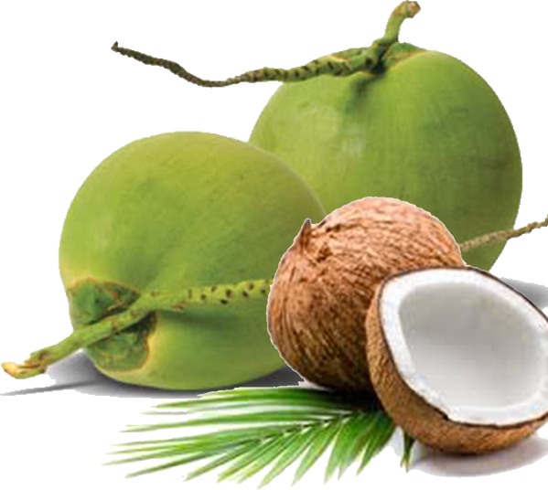 We Are Able To Ensure Stability In Our Supply Chain - Deluge - Unscented Body Butter, With Organic Shea Butter, (599x536)