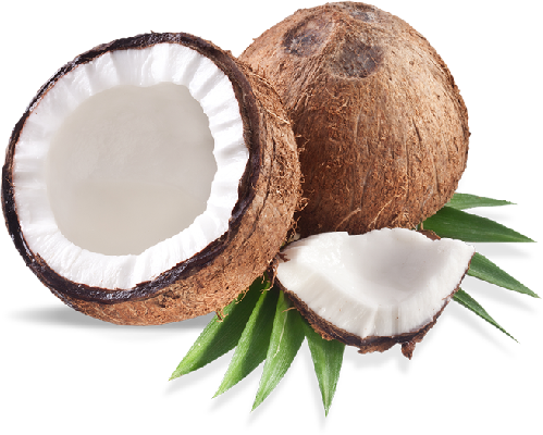 Coconut2 - Finevine Organics Acitivated Teeth Whitening Charcoal (499x400)