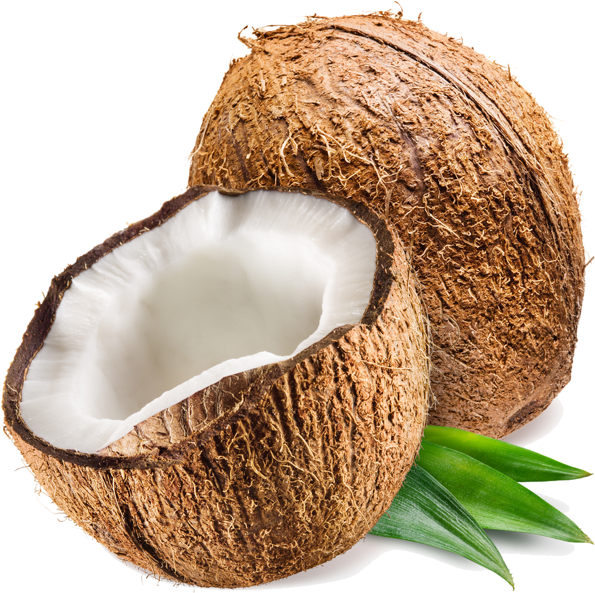 Coconut - Coconut & Vanilla Candle Fragrance Oil (1000x1000)