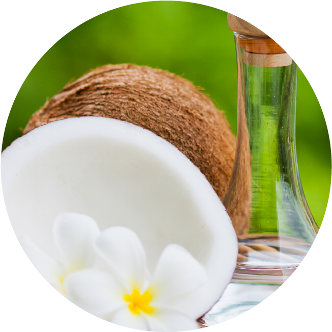 Coconut Oil - Coconut Oil Wonders: Nature's Amazing Weight Loss, (679x675)