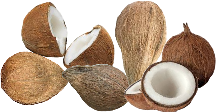 Coconut - Coo Coo For Coconuts - 50 Delicious Coconut Recipes (850x382)