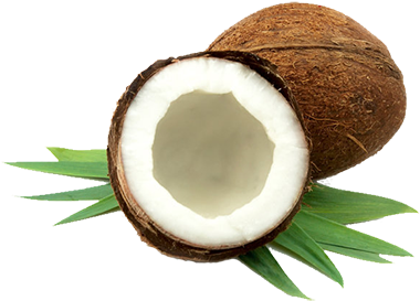 In 2009 For The First Time We Engaged In The Export - Seasonal Fruits Of Bangladesh (400x308)