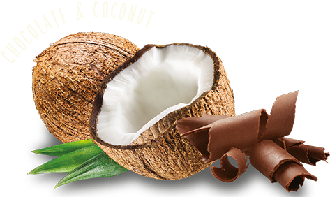 Chocolate And Coconut Flavour - Komodo Brands Komodo Energy Drink (493x288)