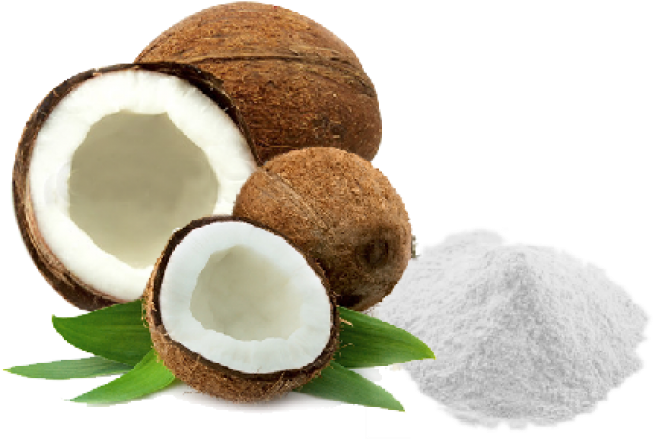 Coconut Powder - Coconut Powder (700x556)