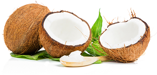 Our Story - Coconut Scrub (571x326)