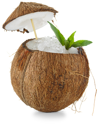 Coconut - Coconut Cocktail (500x470)