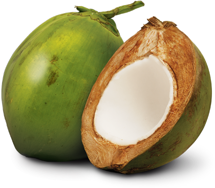 Coconut Fruit Philippines (450x390)