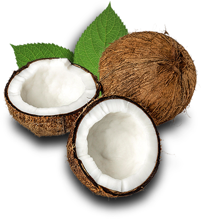 Coconut Ice Cream - Oskri - Gluten-free Coconut Bar Almond - 20 Bars (500x500)