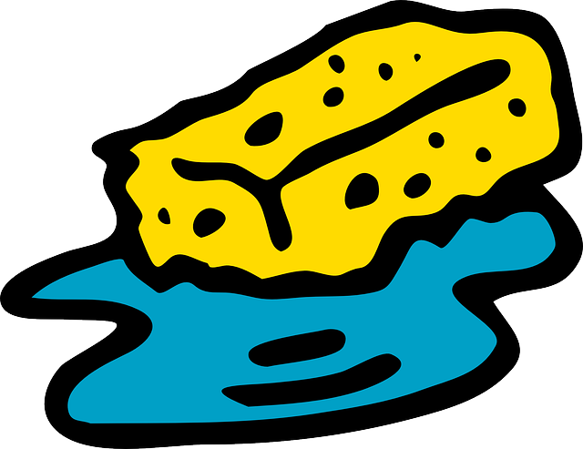 Scrub Sponge, Cleaning, Clean, Water, Scrubbing, Scrub - Sponge Clipart (640x493)