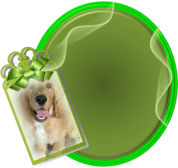 Gliterowe Dodatki Bez Tła - Cocker Spaniel (600x600)