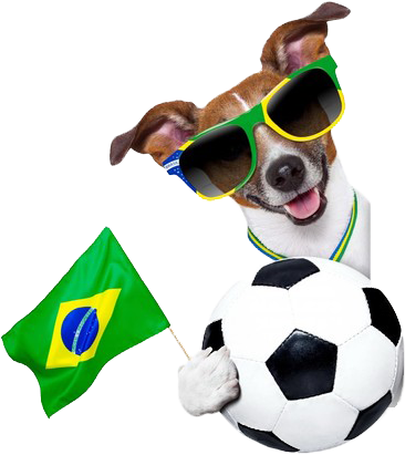 Fifa 12 2014 Fifa World Cup Brazil Dog - Fifa 12 2014 Fifa World Cup Brazil Dog (600x450)