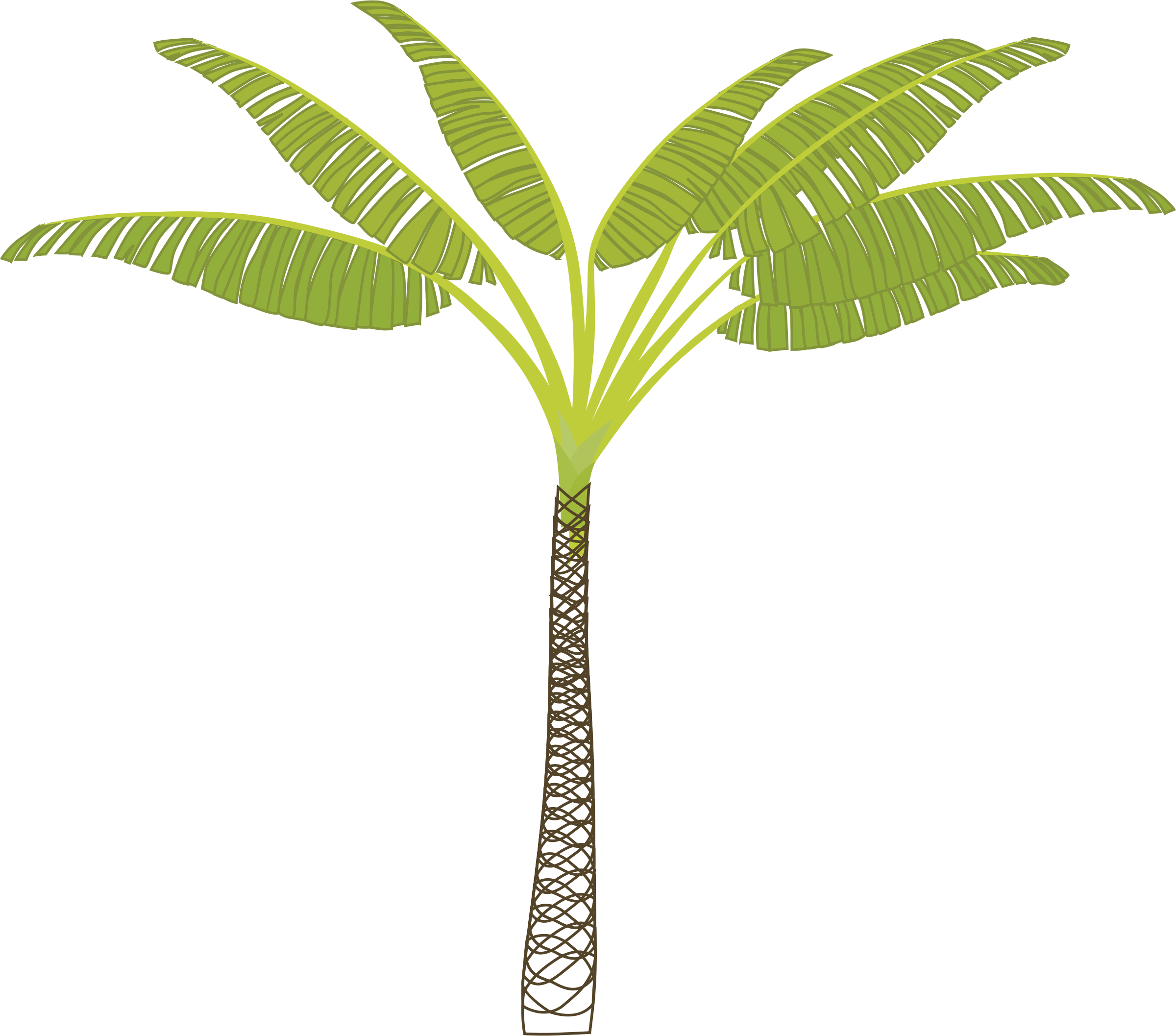 Palm-tree - Business Card Palm Tree (2400x2114)