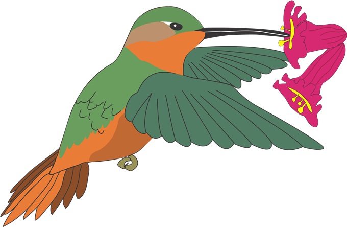 4 Disk, It Shows As A Drawing And Opens - Clip Art Corel X7 (680x444)