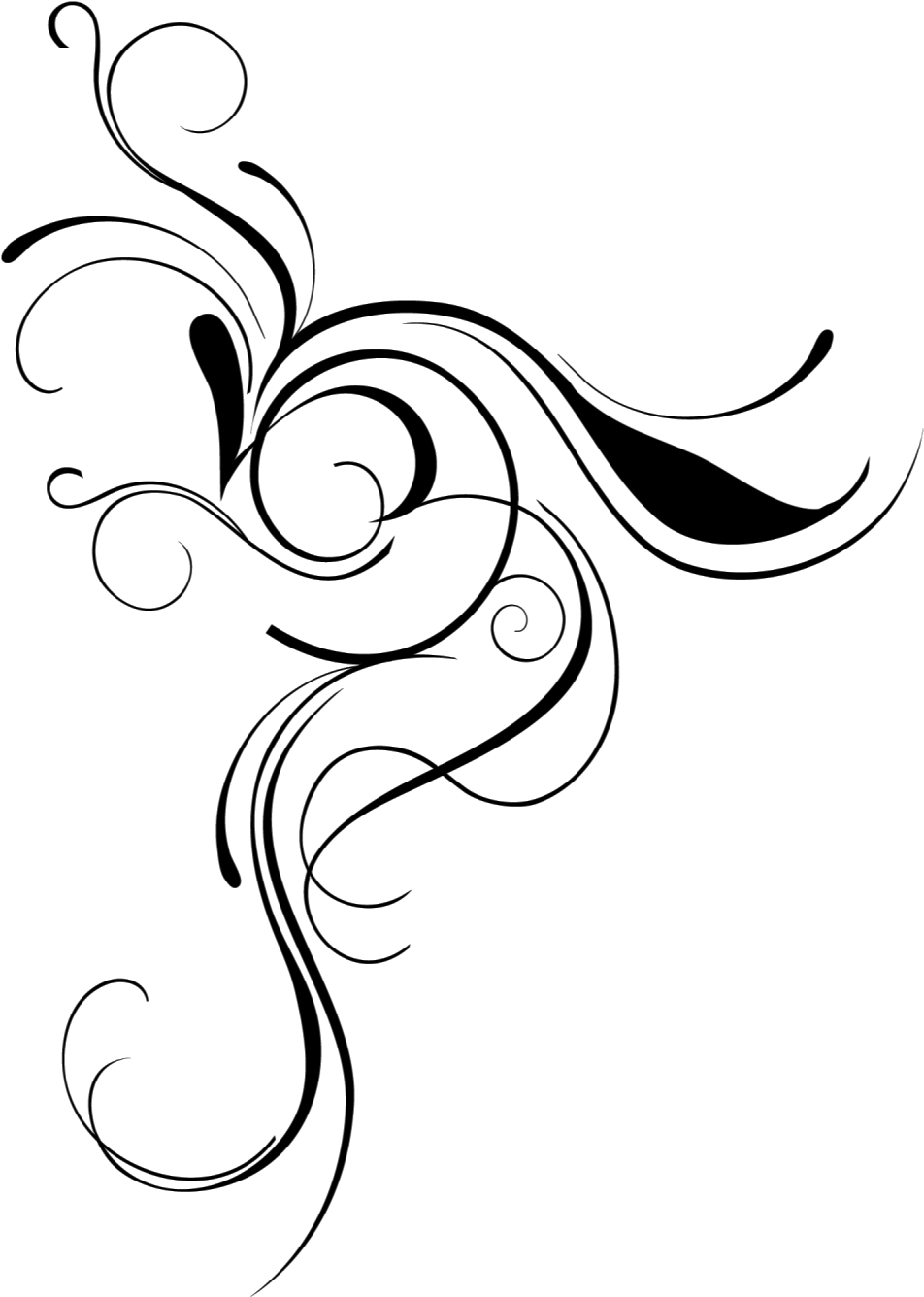 Png Flourish - Clipart Library - Clipart Library - Flourish Download Png (997x1400)