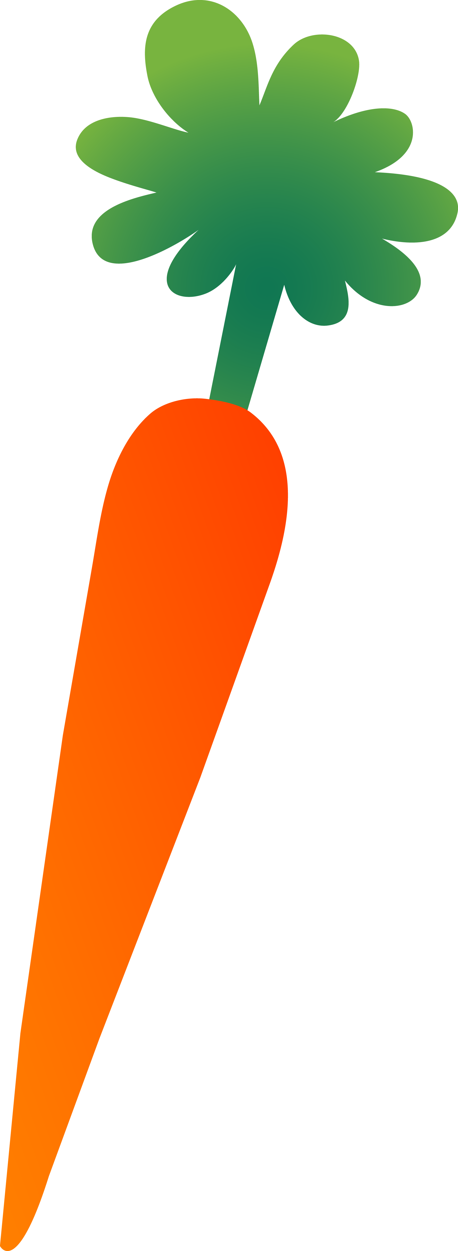 Large Single Orange Carrot - Carrot Clip Art (1777x4848)