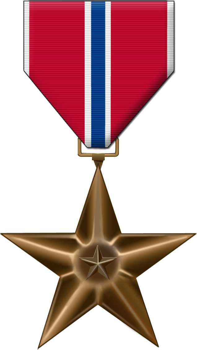 Pgrlogo Medal Bronze Star - Bronze Star Medal Png (800x1200)
