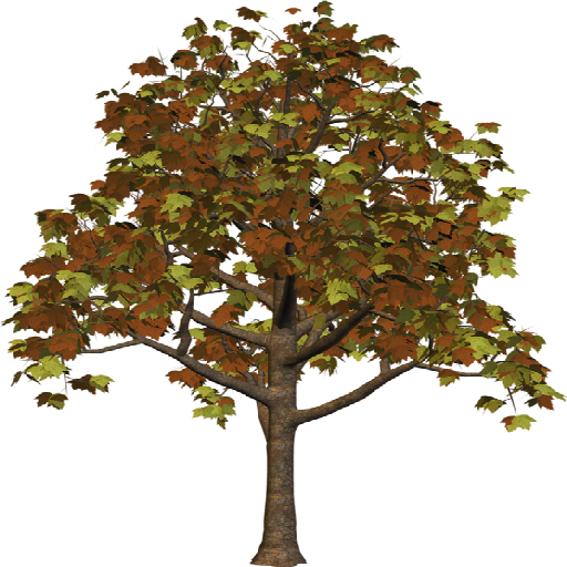 13 Oct 2014 - Brick (512x512)