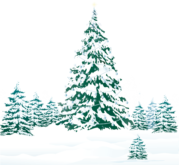 Snowy Winter Ground With Trees Png Clipart Image - Teal Christmas Tree Png (600x571)