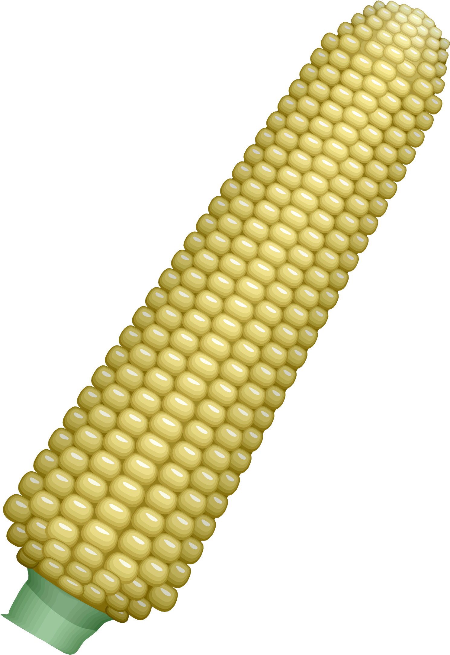 Free Photos > Vector Images > Ear Of Corn Vector Clipart - Corncob (1803x2400)