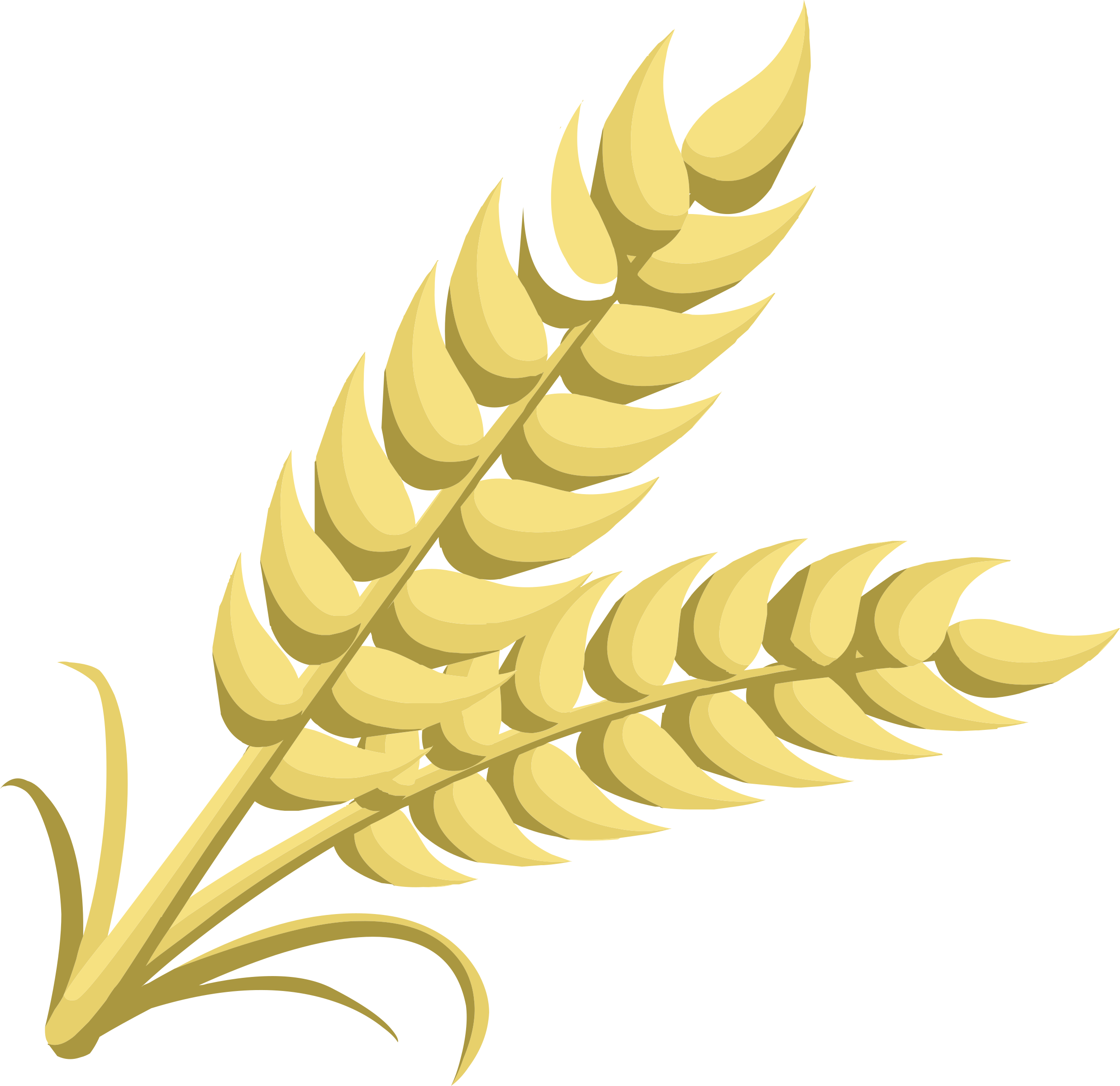 Ear Of Corn Clip Art Black And White Download - Wheat Clipart (2475x2400)