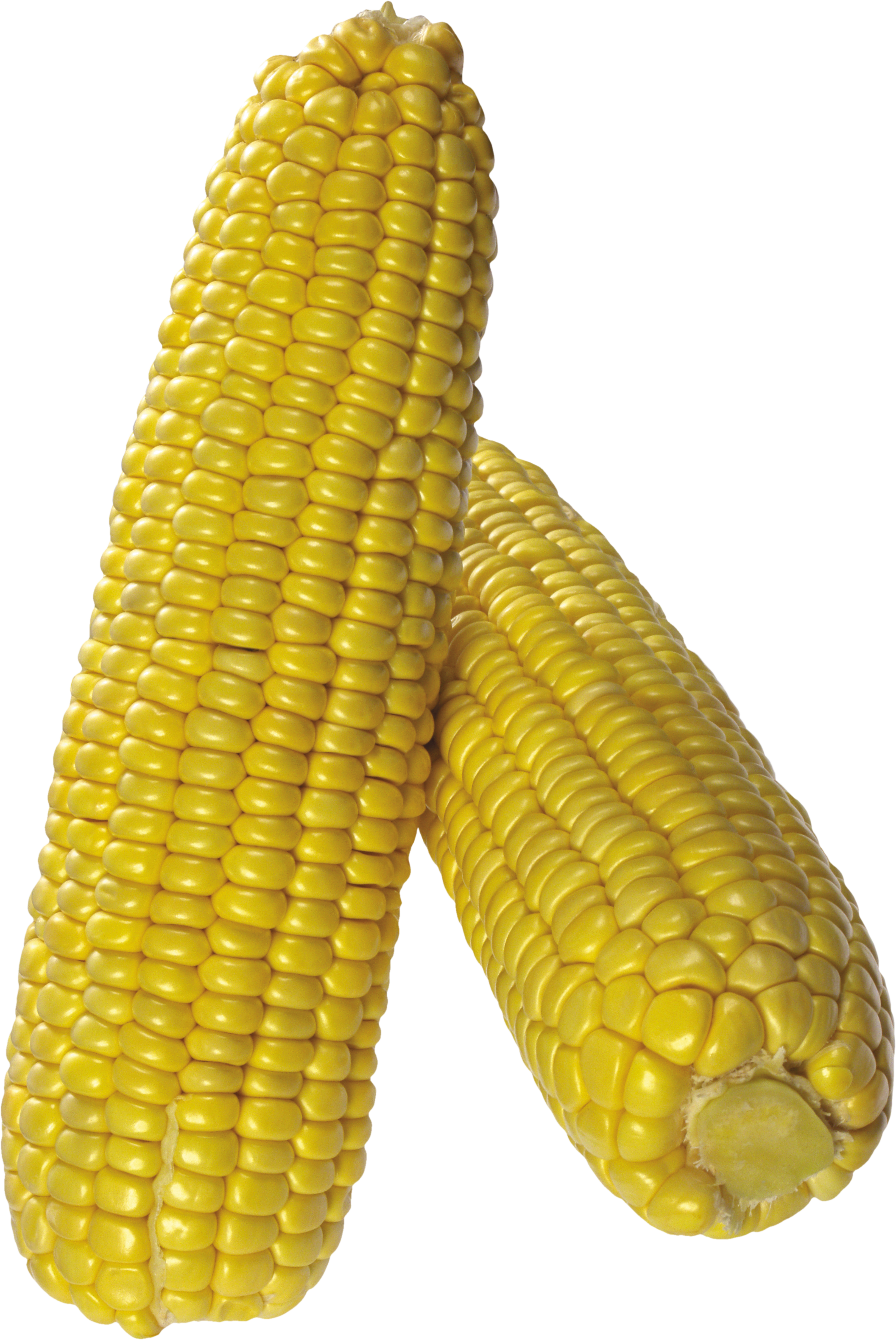 Corn With Transparent Background (2113x3159)