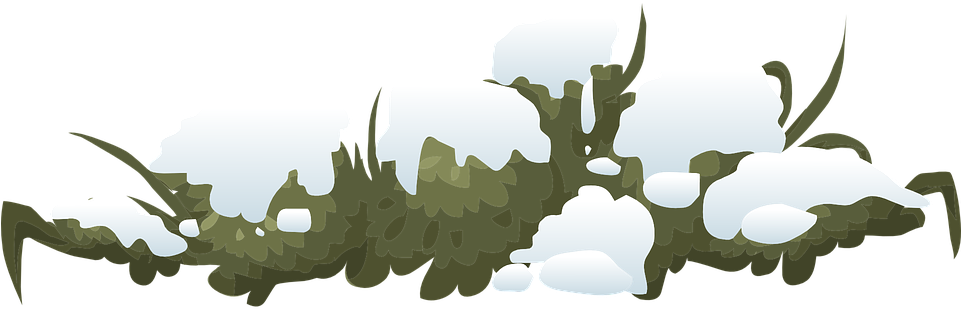 Bush Snow Png (960x480)