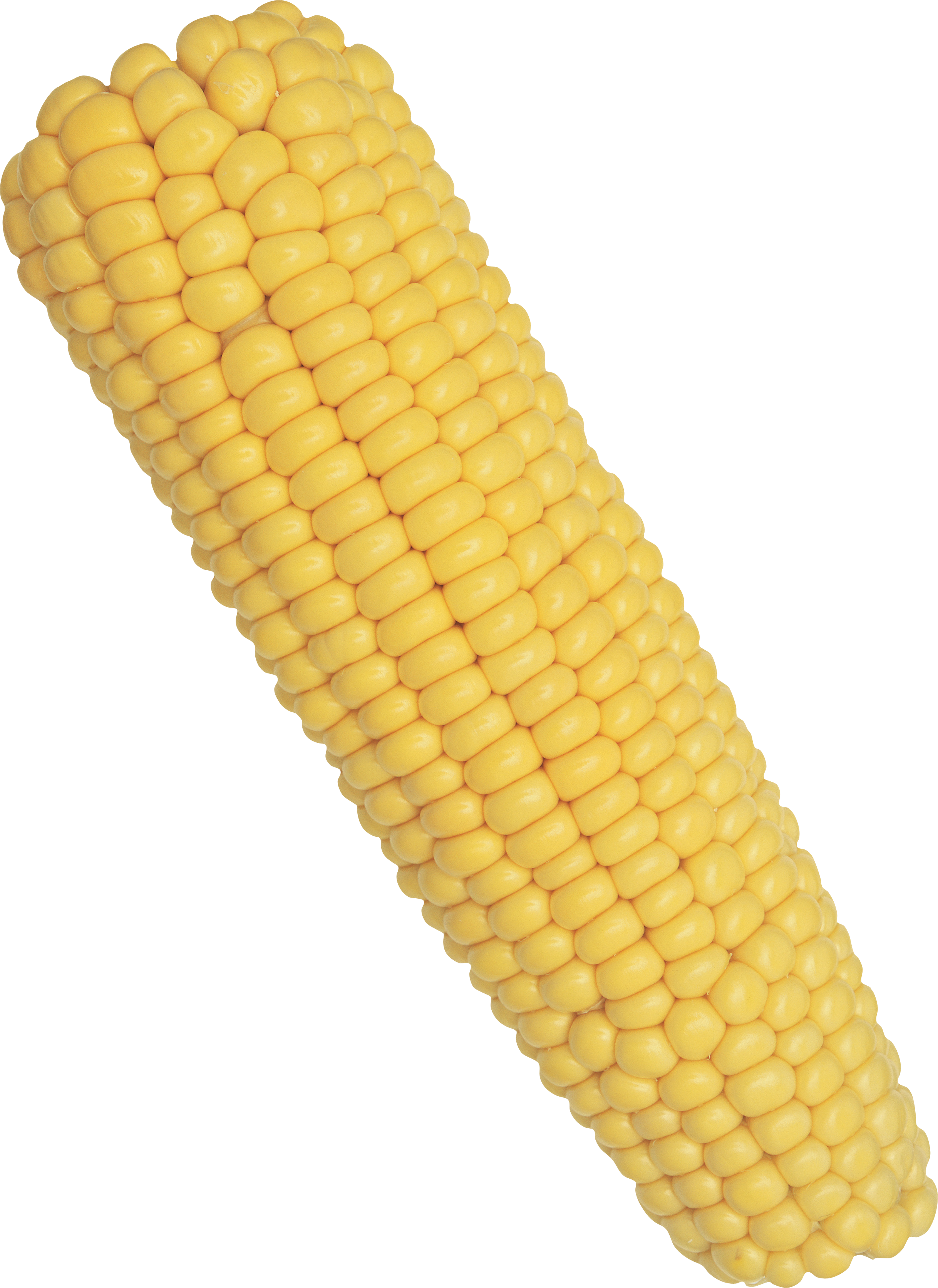 Korn Clipart The Cobb - Corn On The Cob Png (2436x3345)