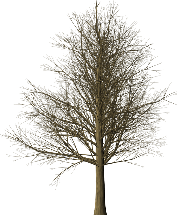 Jon Snow Png 18, Buy Clip Art - School Exercise Book: With 150 Lined Pages (591x720)