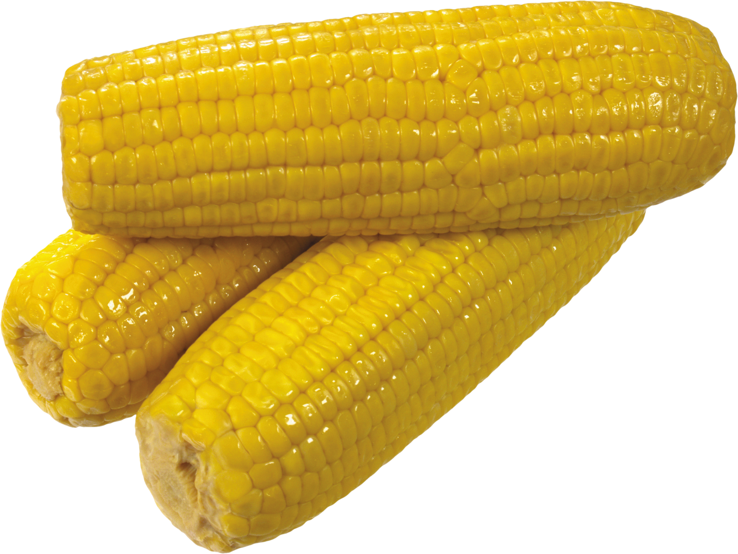 Corn Clipart Yellow Corn - Yellow Corn (2799x2102)