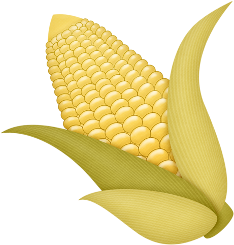 Corn Clipart Fall Vegetable - Autumn (478x500)
