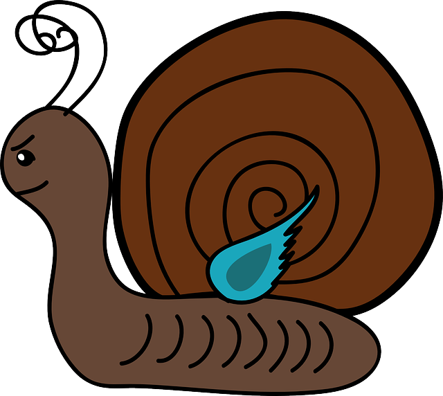 Gastropod, Univalve, Scroll, Slug, Cochlea - Clipart The Snail (640x572)