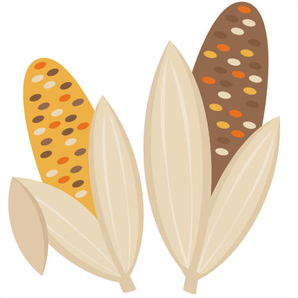 Indian Corn Fall Svg Scrapbook Cut File Cute Clipart - Indian Corn Clipart (432x432)